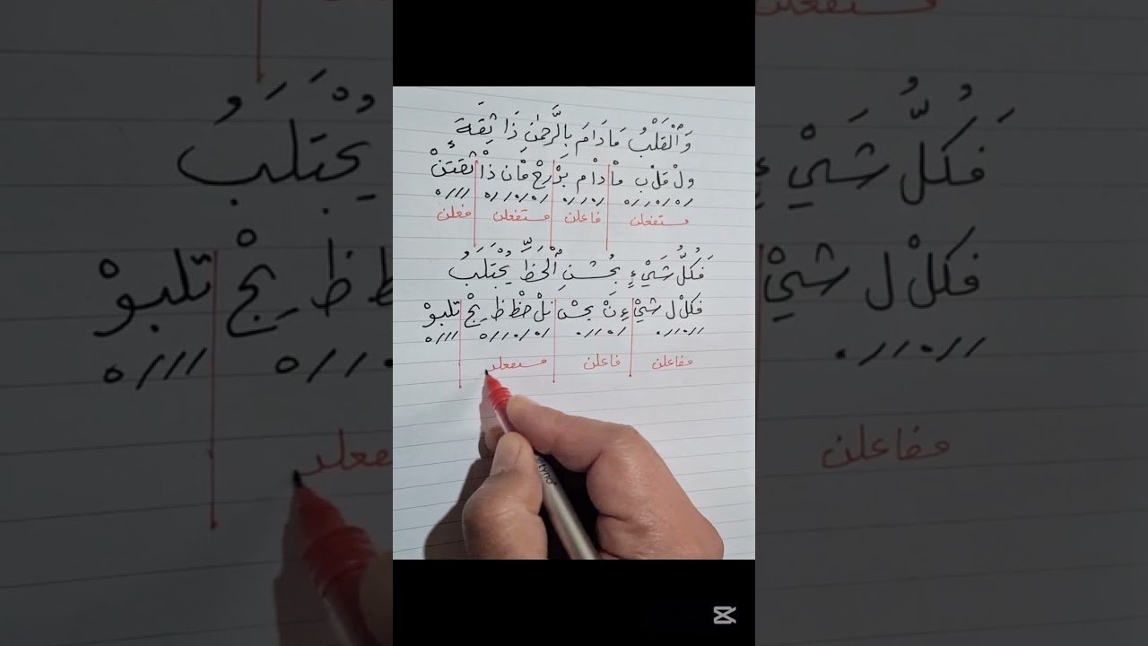 بحر البسيط - الروي - القافية - الجوازات - اعراب البيت 