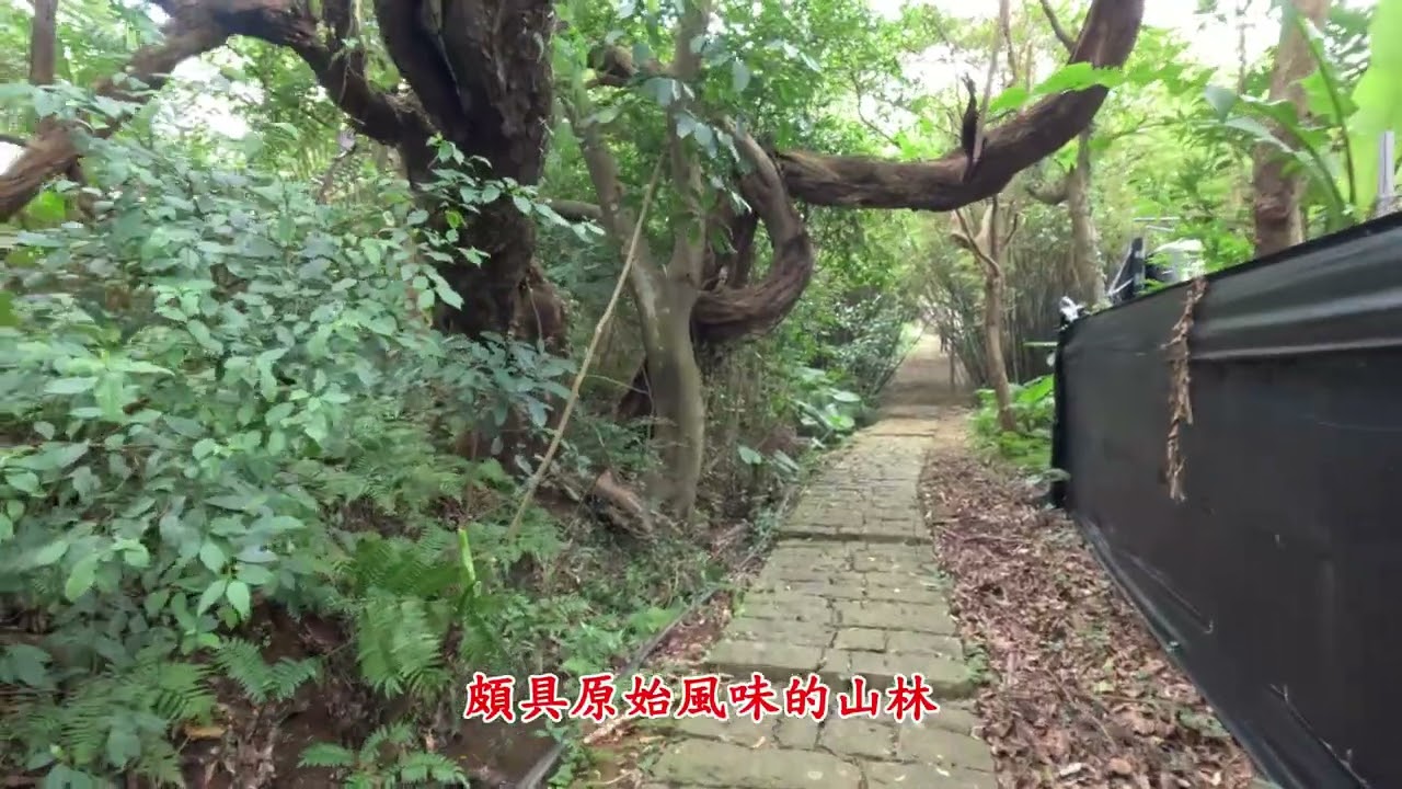 20241019士林溪山百年古圳&平溪步道 鵝尾山水田