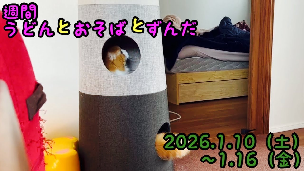 「一城の主」「黄砂襲来」など今週の動画です