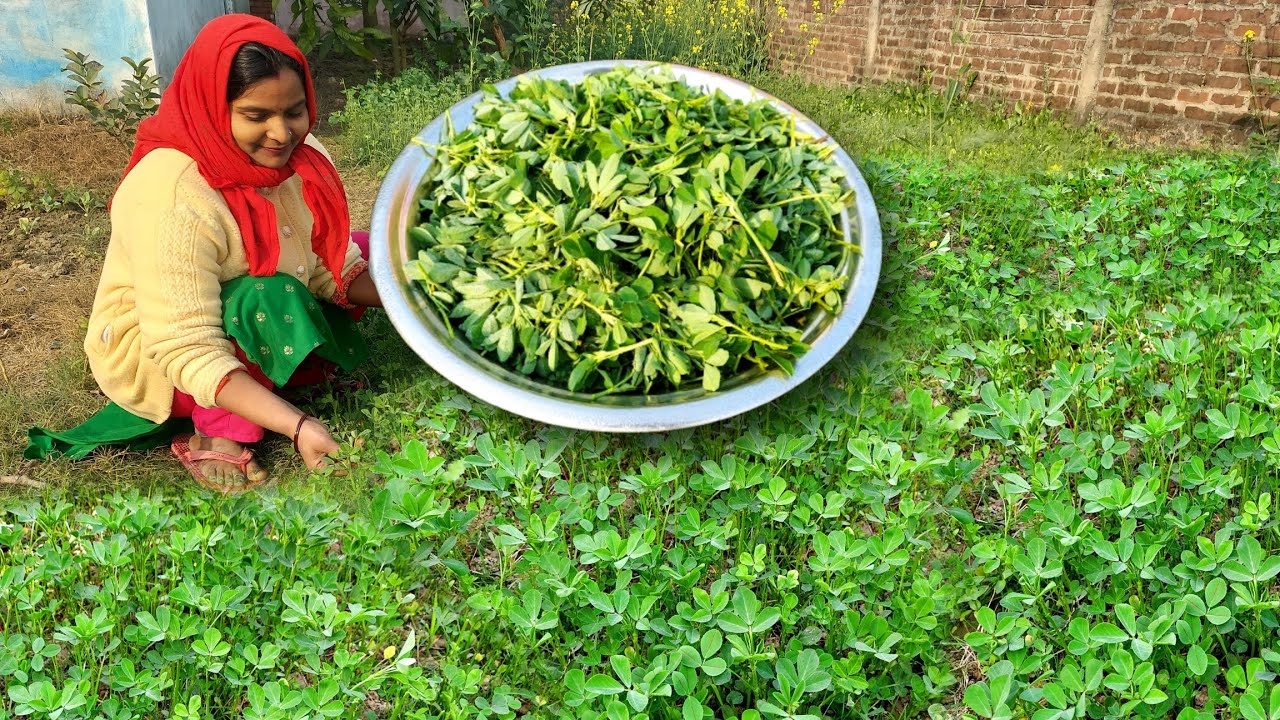 इस ❄️मौसम में ये हरि भरी 🍆सब्जियां 🌱साग किसी अमृत से कम नहीं 🌿इनके नज़दीक रहने का सुकून ही अलग है