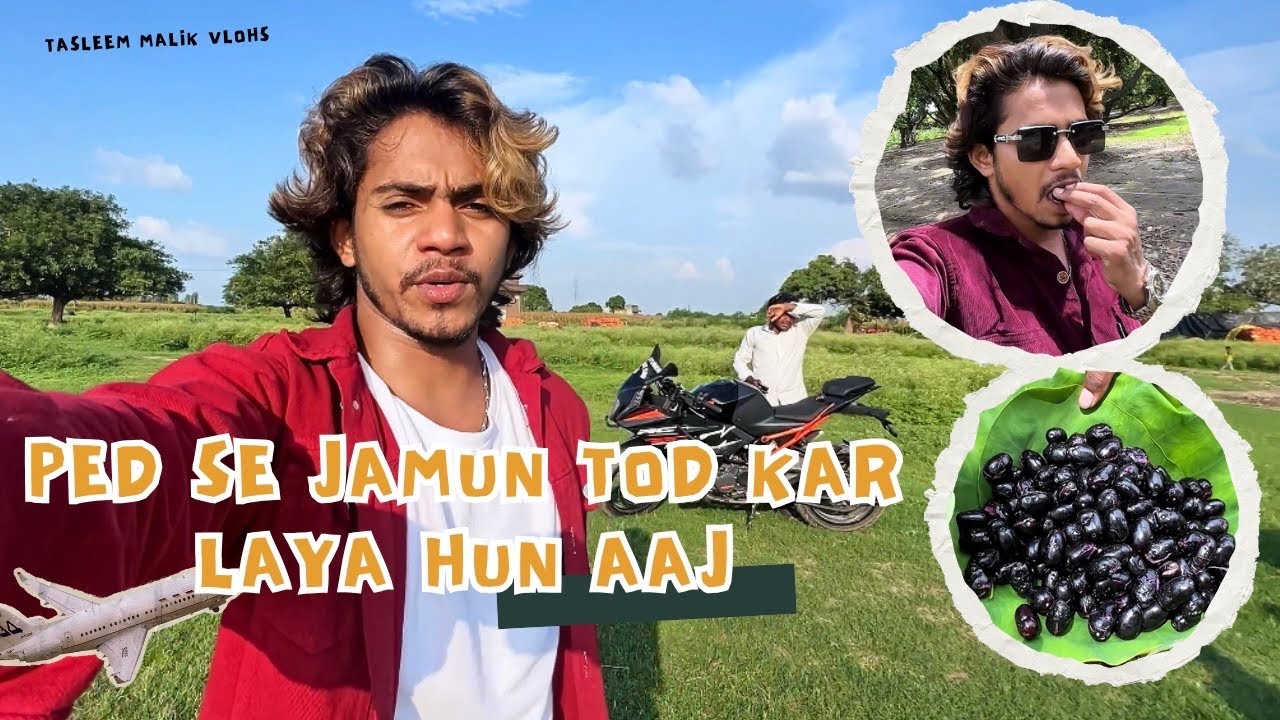 Ped se jamun tod kar pehli baar khaye hain aaj #tasleemmalikvlogs #vlogs #vlog #dailyvlog #shorts