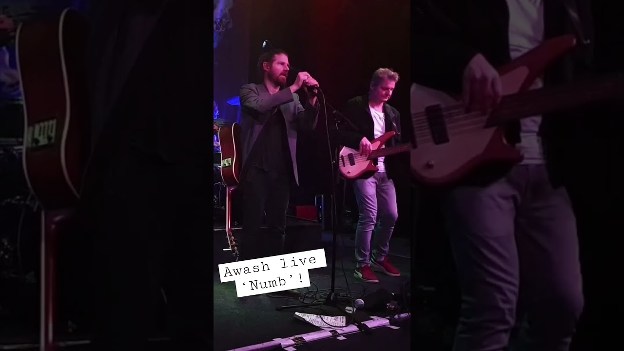 Awash &lsquo;Numb&rsquo; live