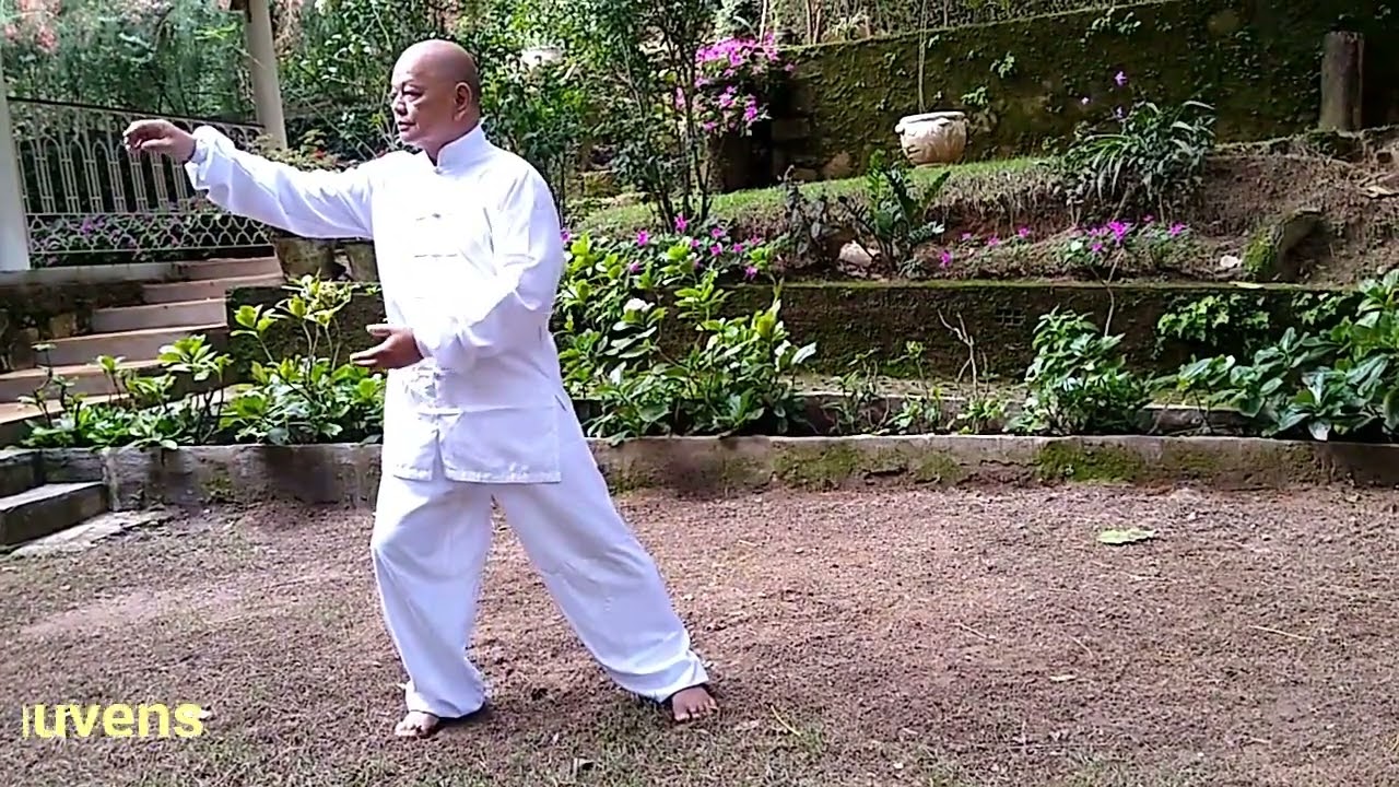 Tai chi chuan familia yang de 118  movimentos