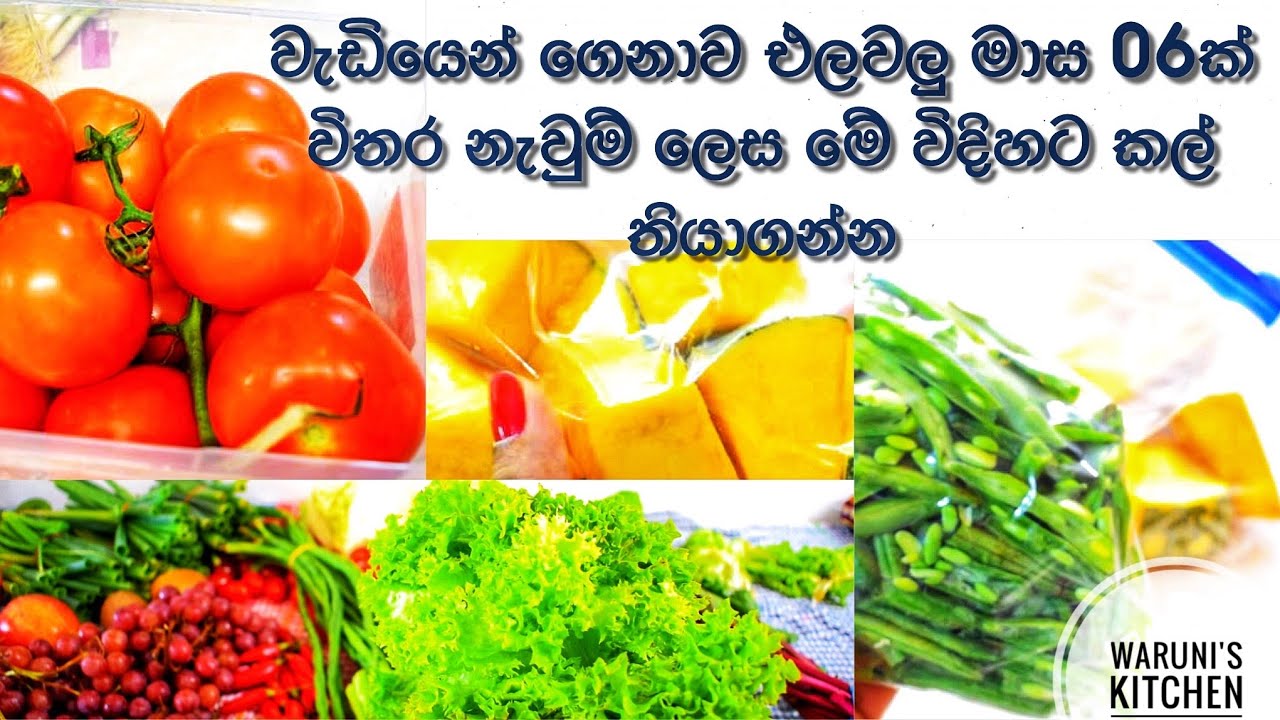 එලවලු පලතුරු මාස හයකටත් වඩා වැඩි කාලයක් නැවුම් ව කල් තියාගමු/Keep fruit & Veg Fresh for Longer