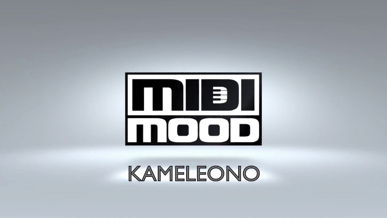 Kameleono MIDI VST/AU Plugin - Arpeggiator · Sequencer · Note Hold · Realtime Quantizer