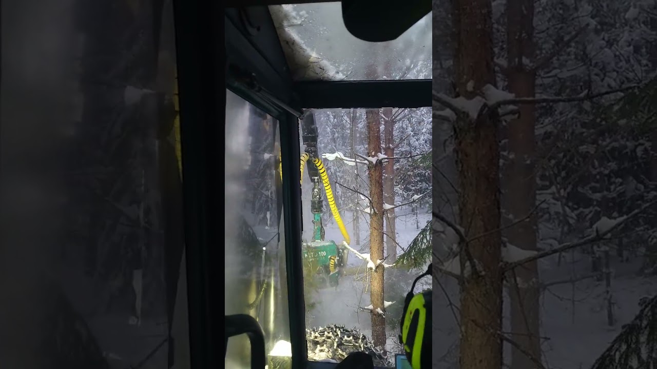 Logmanilla ensiharvennusta ja lumi pöllyä