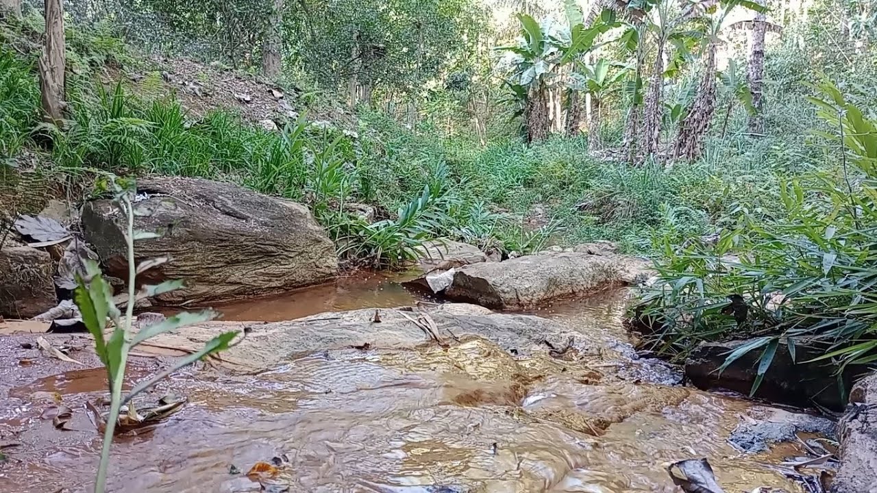 Nature Sounds for Relaxation