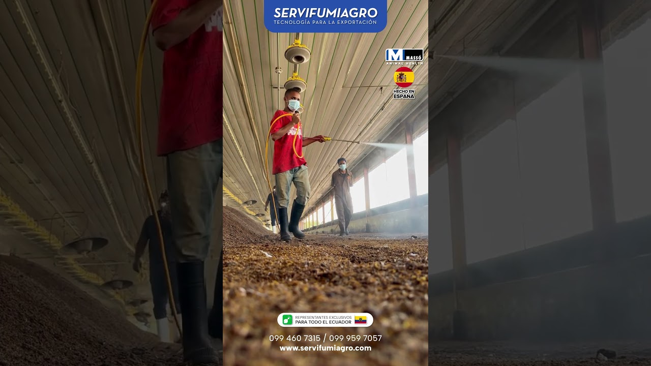 Control de Alphitobous Diaperinus en broilers - Servifumiagro - Mass&oacute;