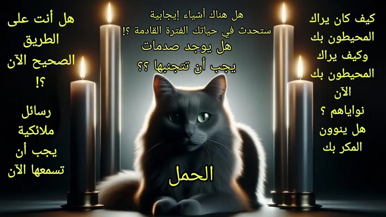 تاروت برج الحمل♈️هل هناك أشياء إيجابية ستحدث في حياتك الفترة القادمة وهل يوجد صدمات يجب أن تتجنبها