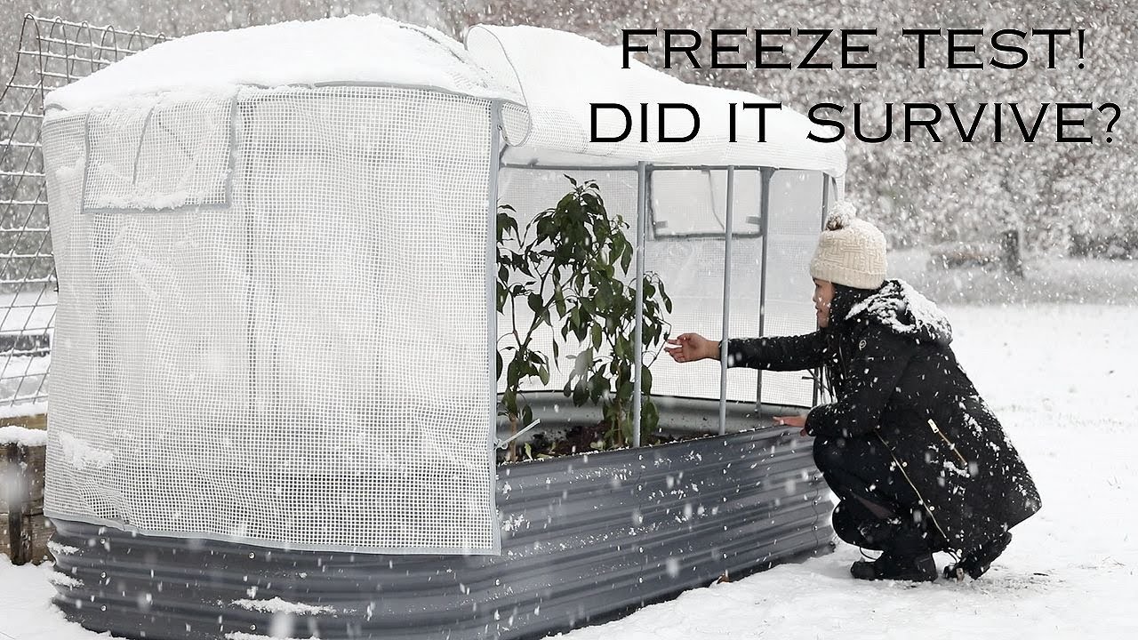 Vego Frost & Greenhouse Cover Review + Freeze Test | Winter Gardening & Season Extension