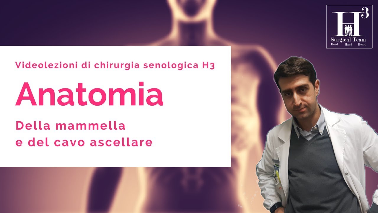Anatomia della mammella e del cavo ascellare