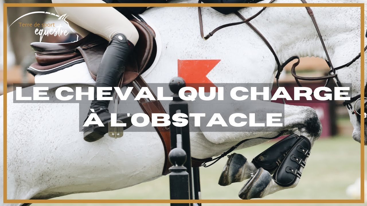 Le cheval qui charge à l'obstacle - Exercice 1 pour améliorer le contrôle