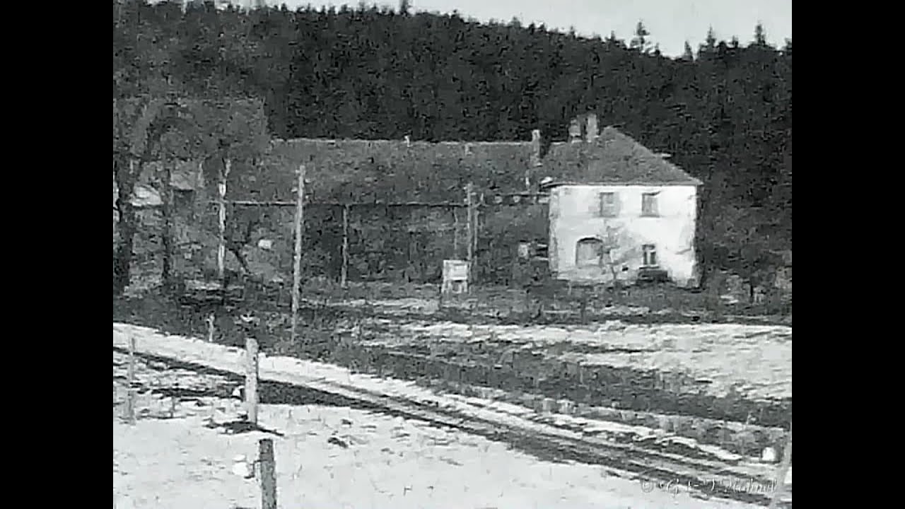 Neidhardtsthal - Schweineaufzucht der LPG 