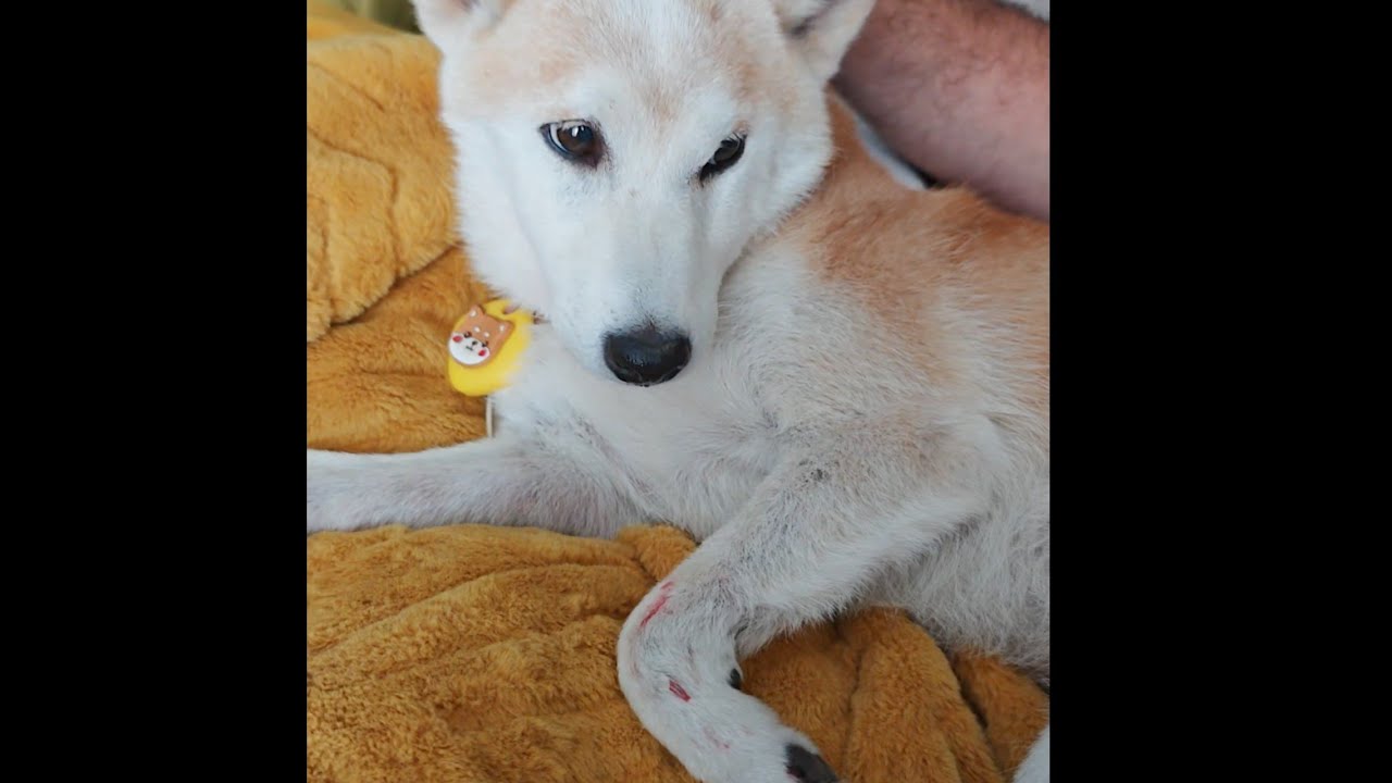 Suki & Raya got into a serious fight 😓