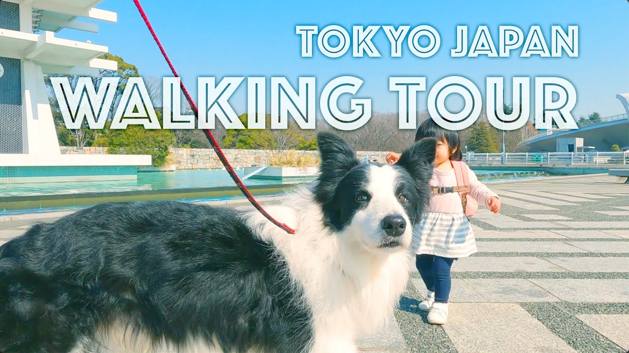 Japan dog Walking Tour // Komazawa Tokyo Olympic Park with Border Collie 