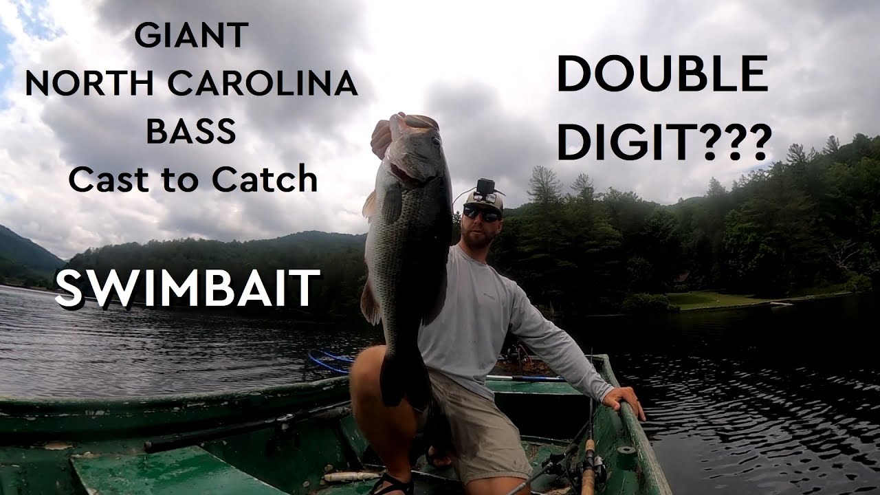 GIANT BASS on Defiant Swimbait
