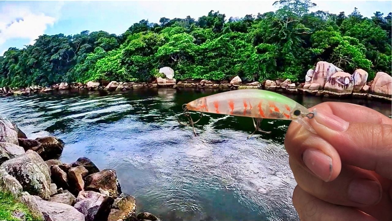 PESCARIA INSANA DE ROBALOS COM ISCAS ARTIFICIAIS NO CANAL DA BARRA!