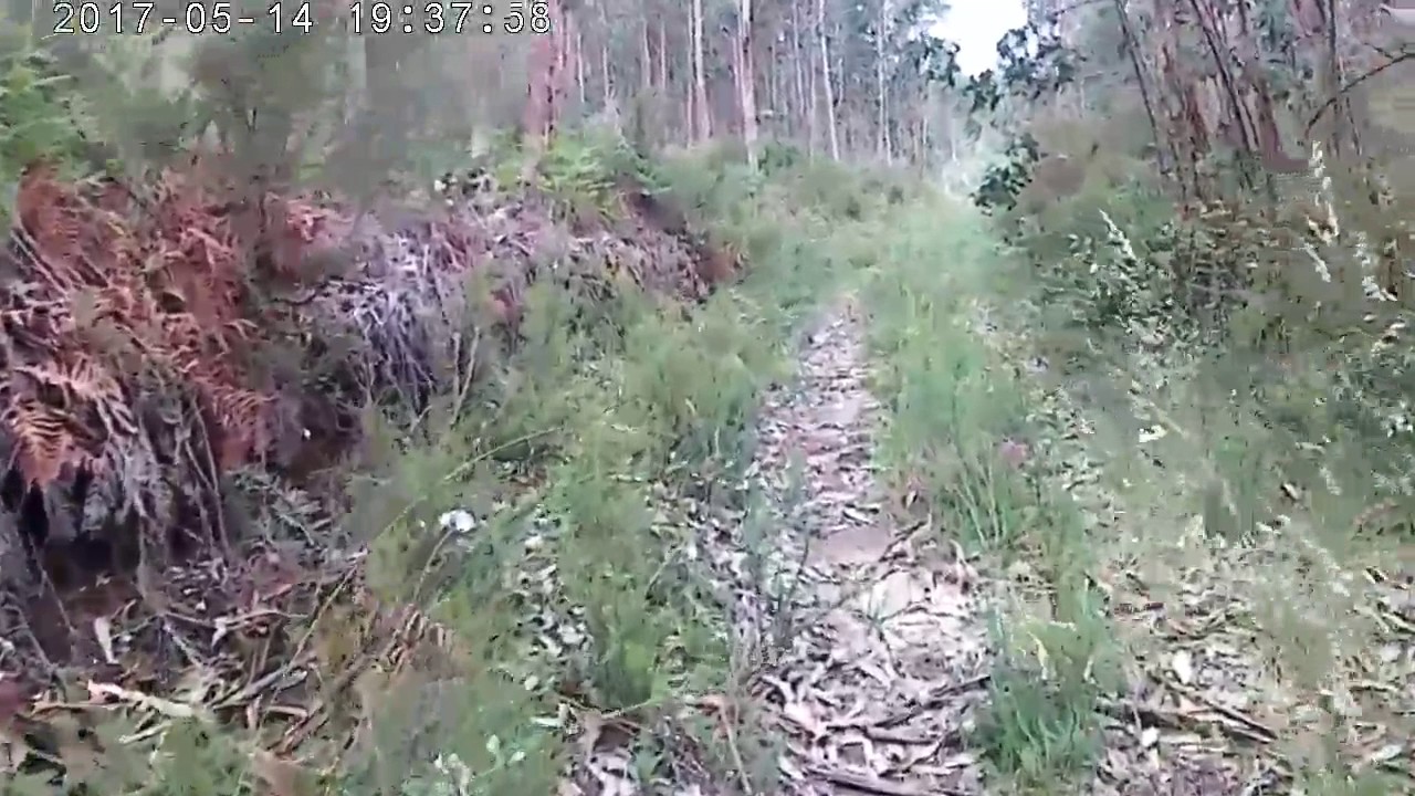 BTT A Picaraña Ruta12_T3
