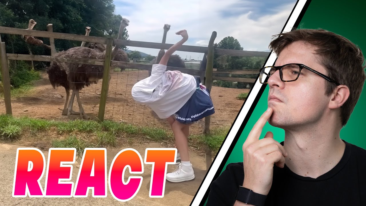 WIN Compilation AUGUST 2024 Edition - React sponsored by: griechbart - Hudi444 - Darkdrever