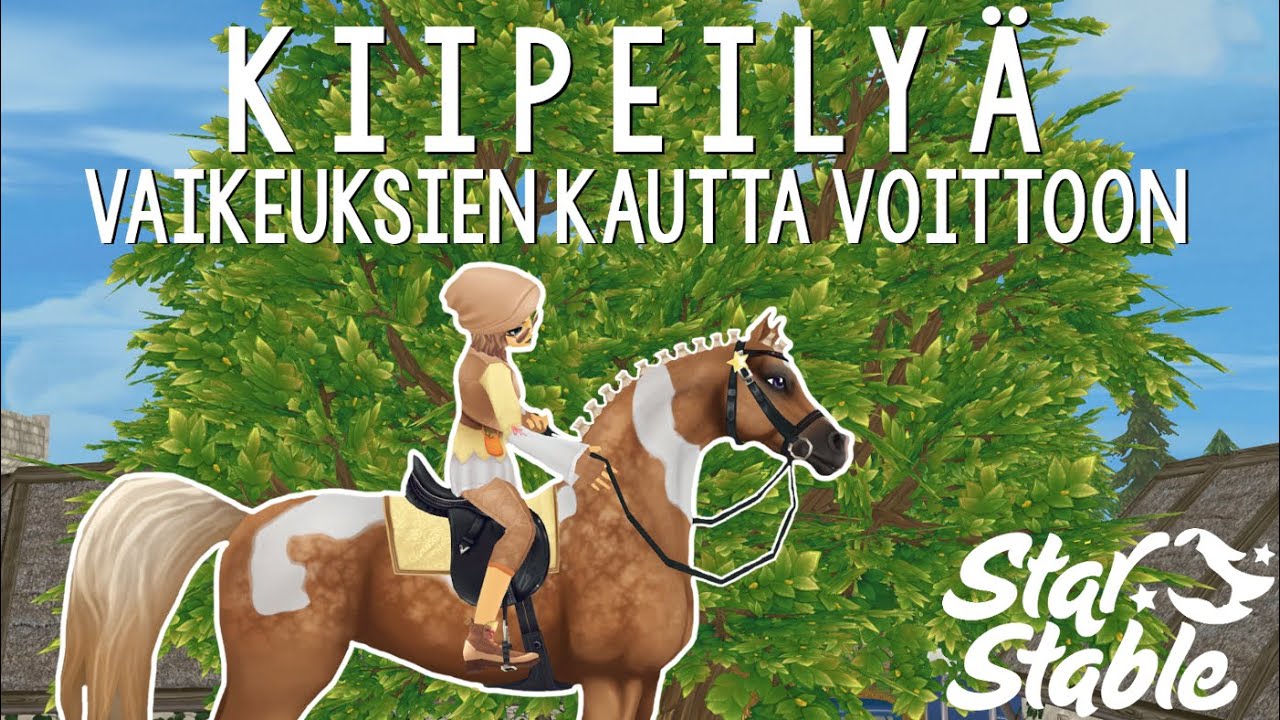 Kiipeilyä 🤪 | SSO Suomi