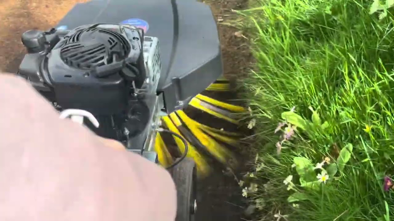 Green buster moss machine great little machine for driveways 