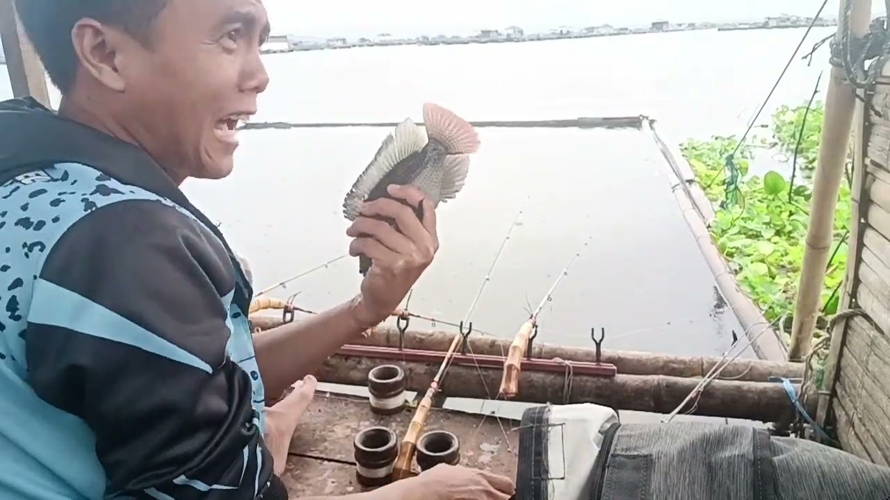 Mancing cirata terbaru spot cioray palumbon #mancingcirataterbaru 