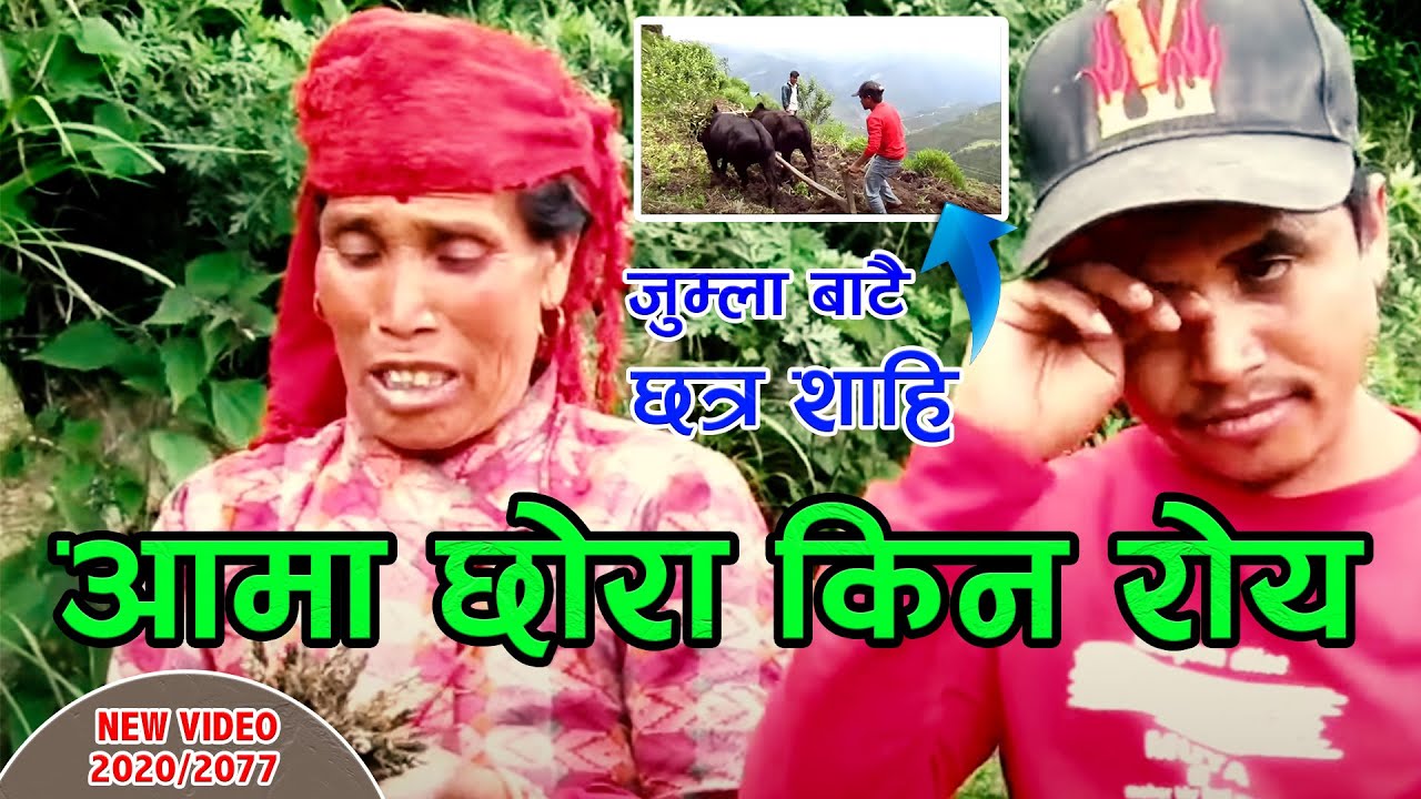 छत्र शाही आफ्नै जन्मथलो जुम्लामा परिवार संग खेतीपाती गर्दै,,आमा किन रुनुभयो यती धेरै,,Chhatra Shahi