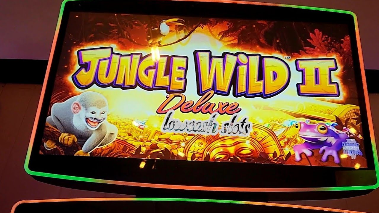 Бонусы за денежные выигрыши в Jungle Wild 2