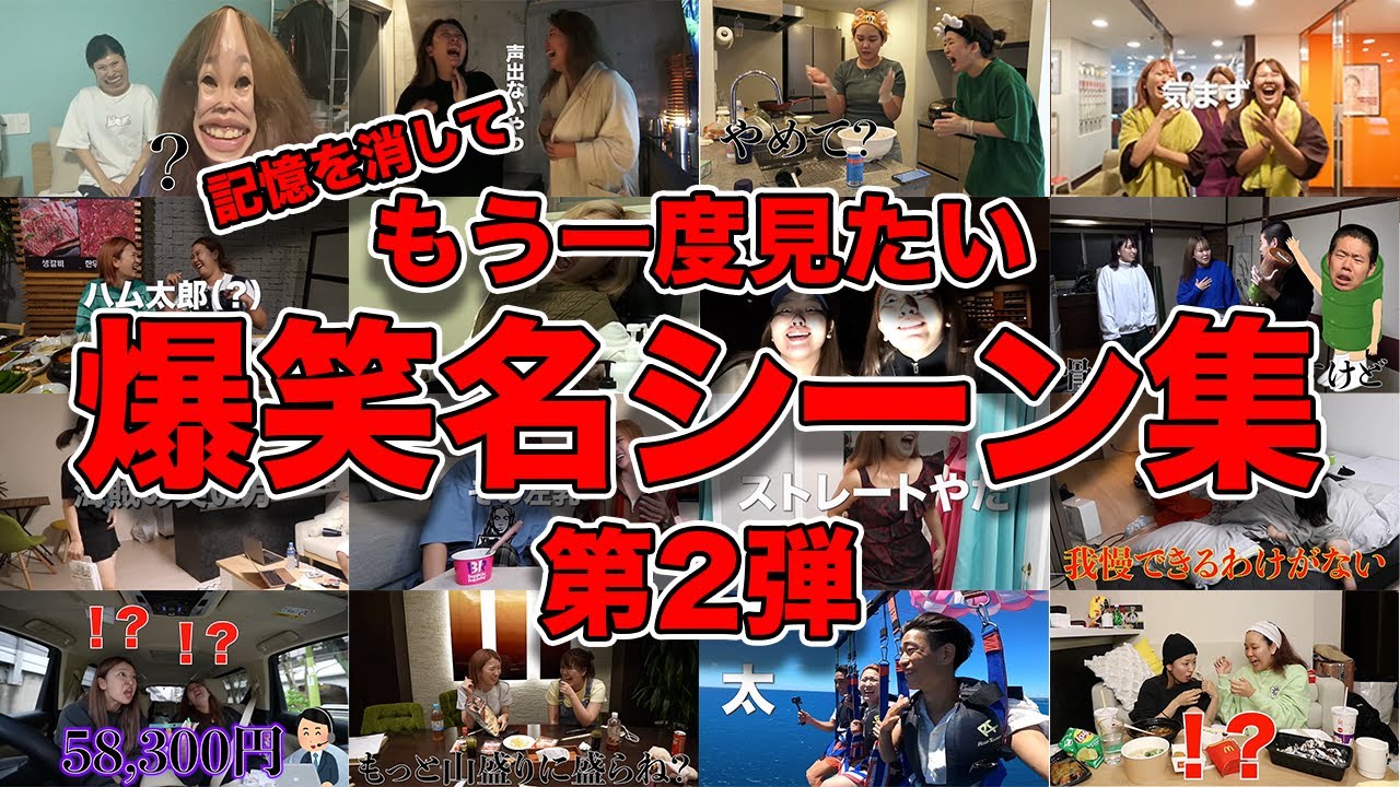 記憶を消してもう一度みたい爆笑名シーン集【平成フラミンゴ】