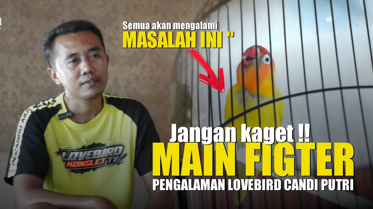 JANGAN KAGET !! MAIN FIGHTER TERNYATA SEPERTI INI - PENGALAMAN SEPERTI CANDI PUTRI - PUTRA CANDI SF