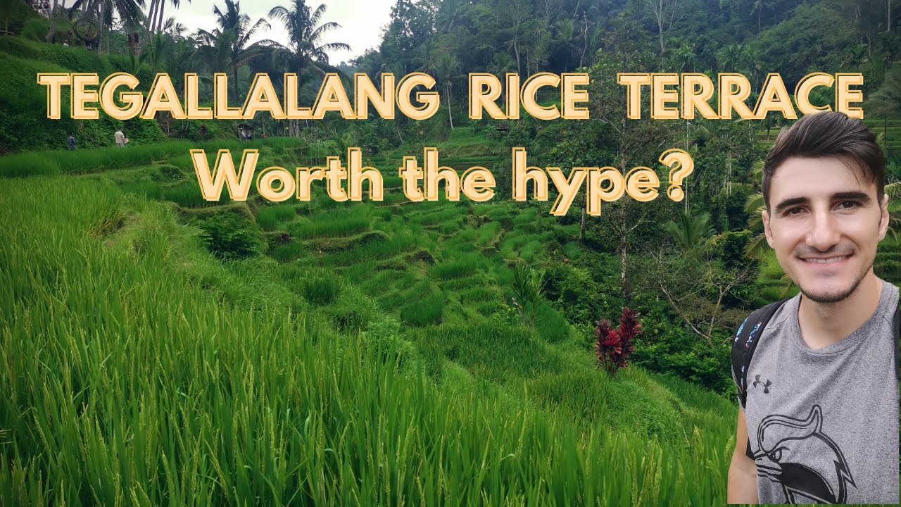 Is TEGALLALANG RICE TERRACE worth the hype?
