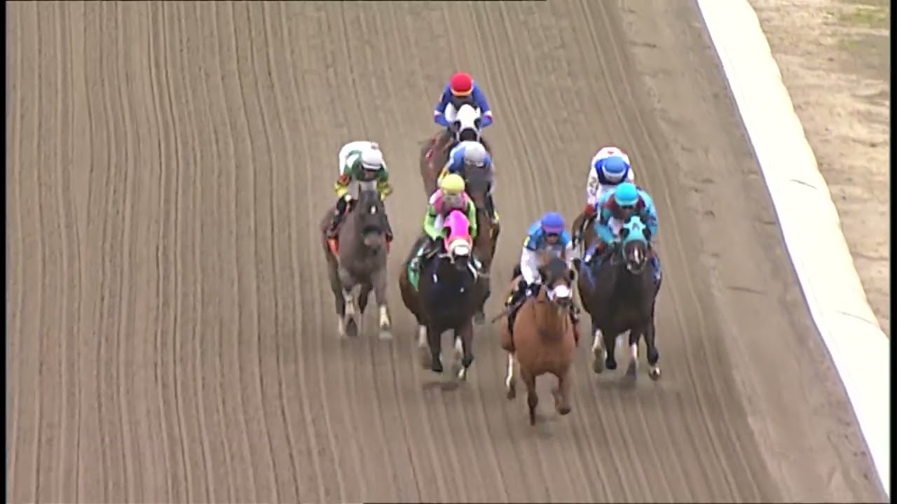 LAUREL PARK 2026-01-16 PL#10_RACE 10