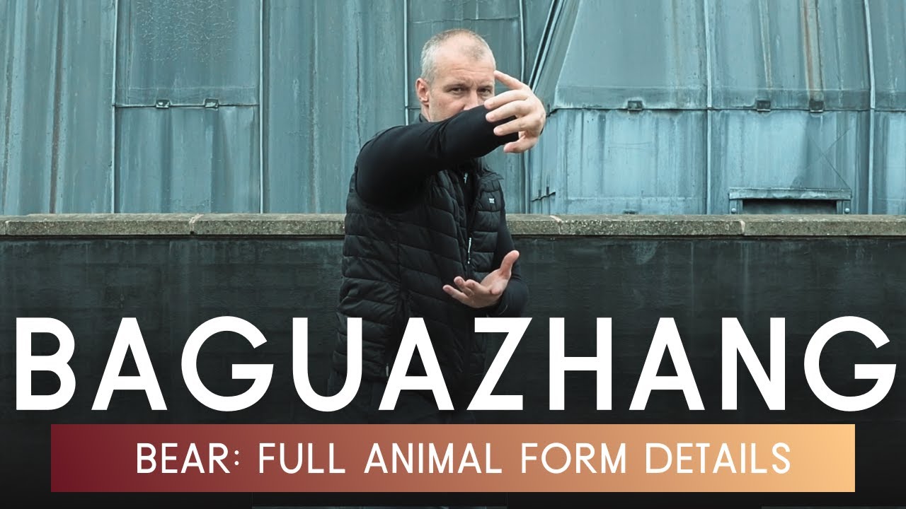 Baguazhang Bear Form | The Details