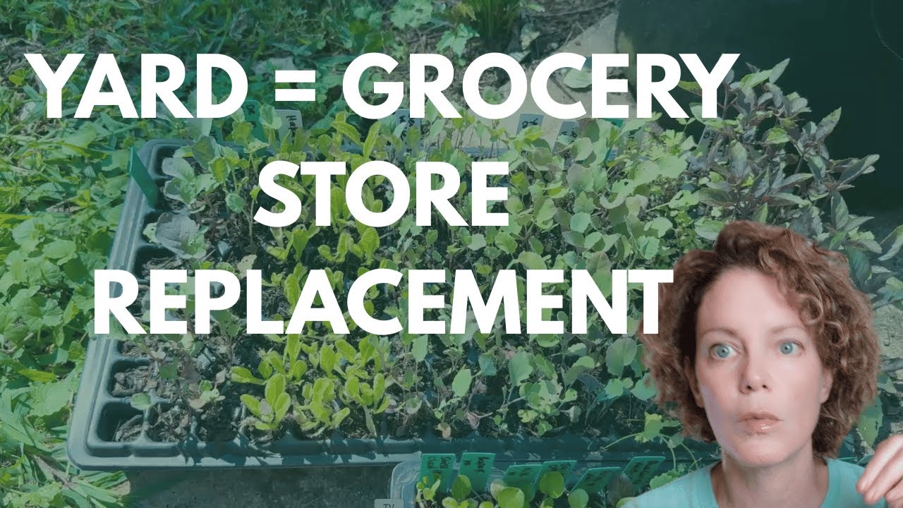 How I'm Growing $1,700 Worth of Food in My Yard!