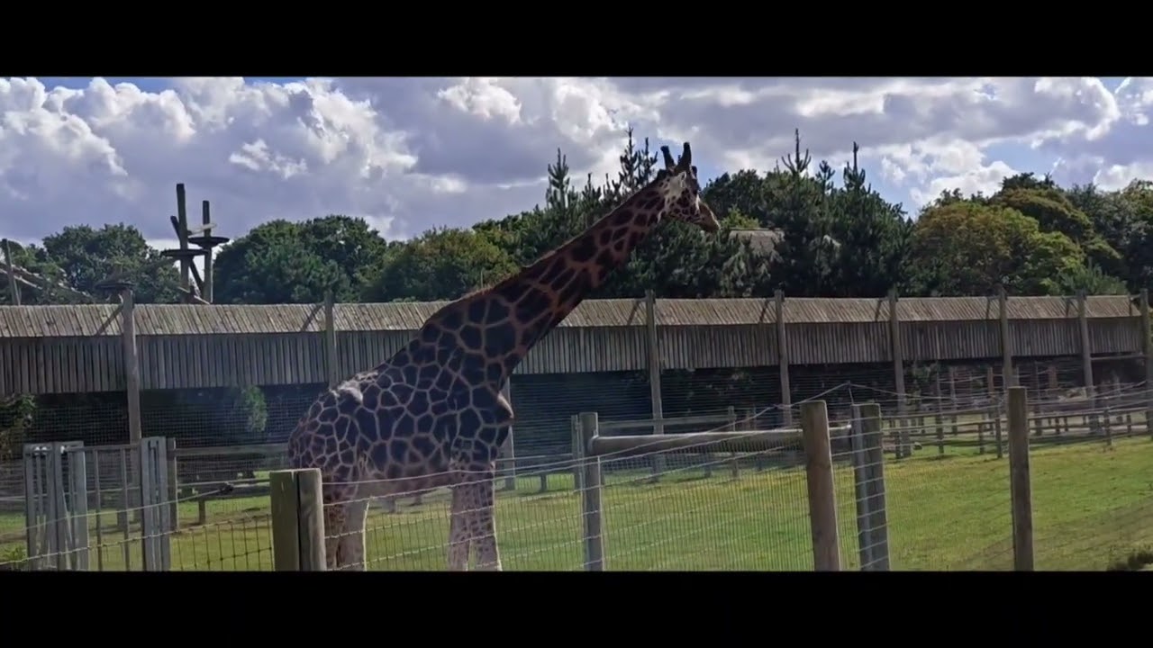 Yorkshire wildlife park September 2025