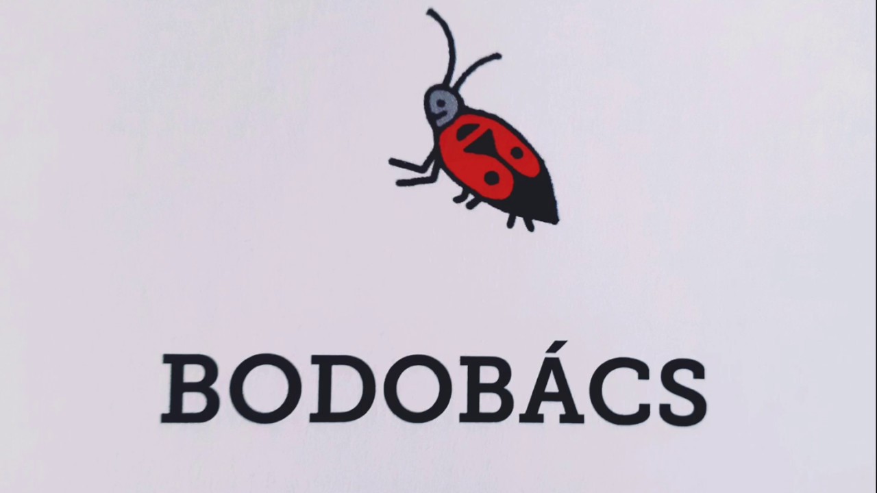 Bartos Erika: Bodob&aacute;cs