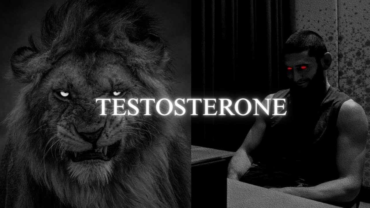 TESTOSTERONE 3.0