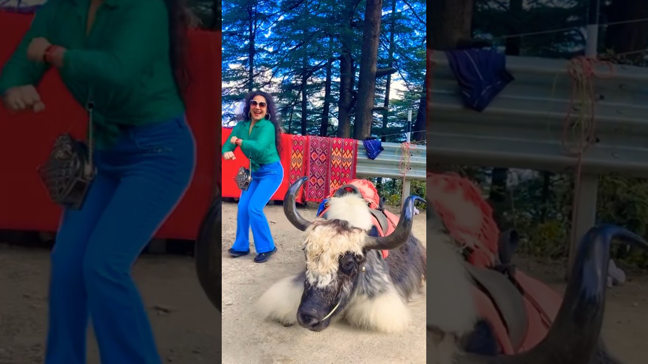 Oonth wali .. #shorts #youtubeshorts #viral