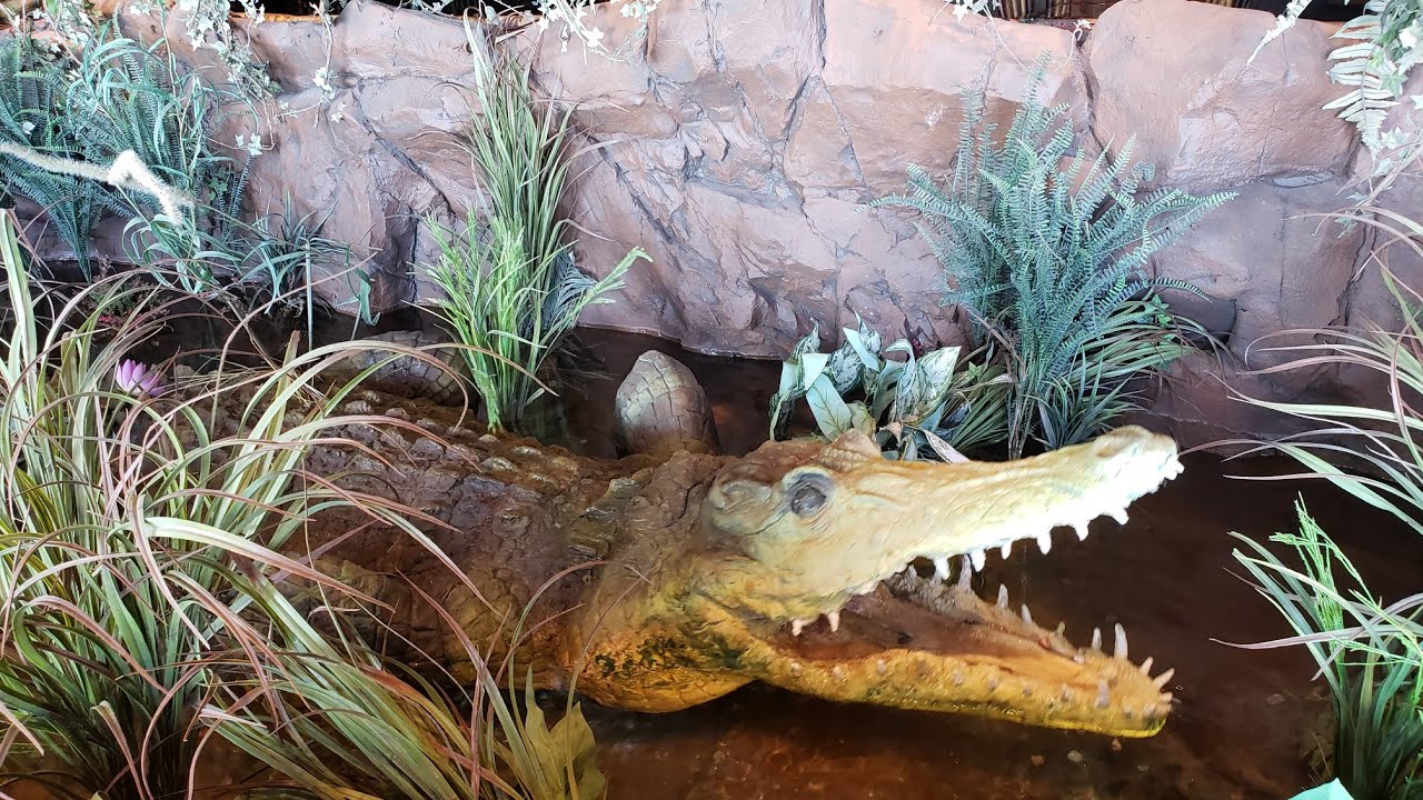 A Trip To Atlantic City Board Walk/Rainforest Cafe