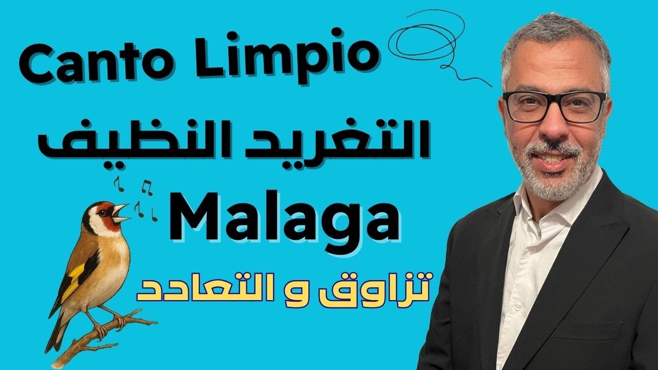 تعلّم التغريد النظيف خطوة بخطوة تعادد و تزاوق (َQuejas y Adornos) (Canto Limpio - Malaga)