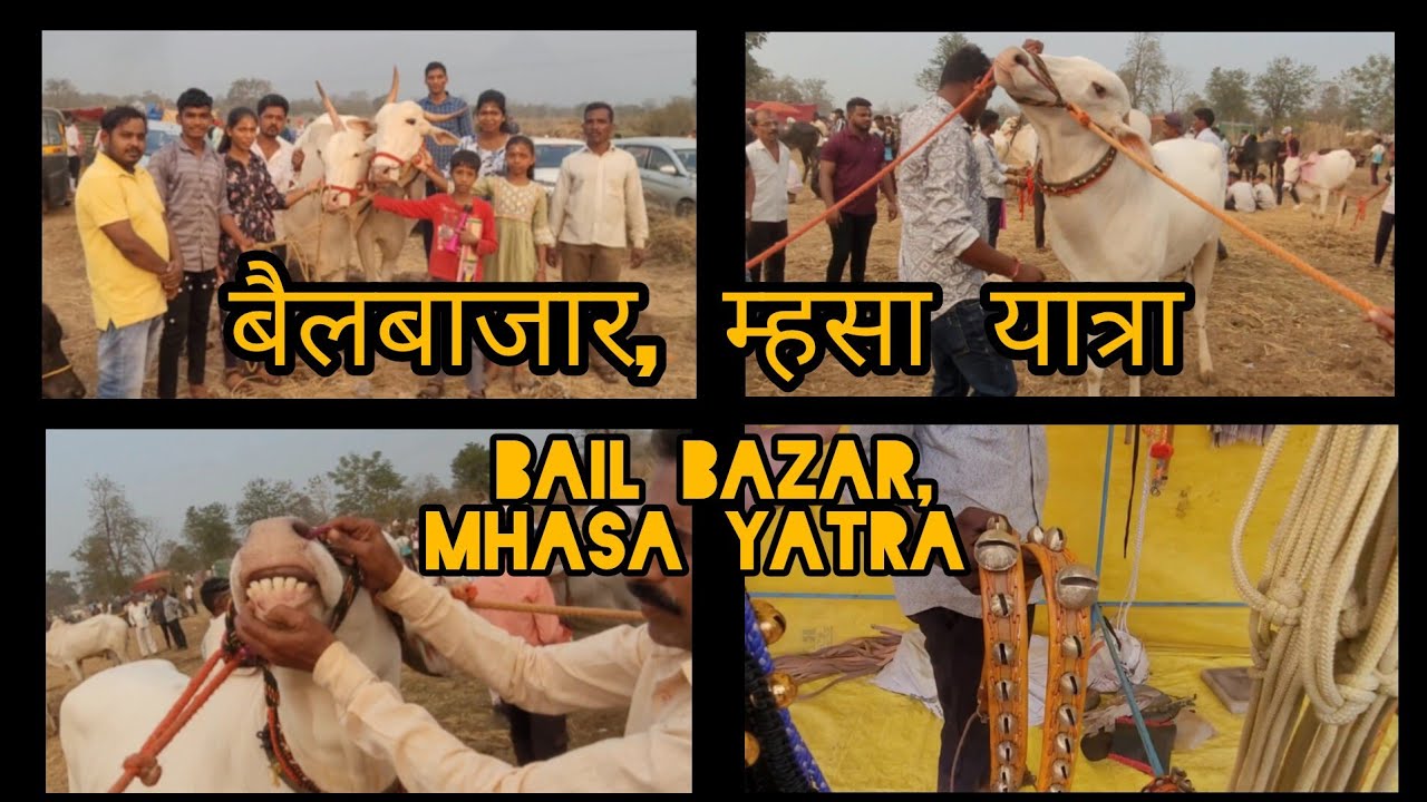 म्हसा यात्रा मुरबाड, बैल बाजार 2025 | प्रचंड गर्दी | Mhasa yatra bail bazar Vlog no. 27