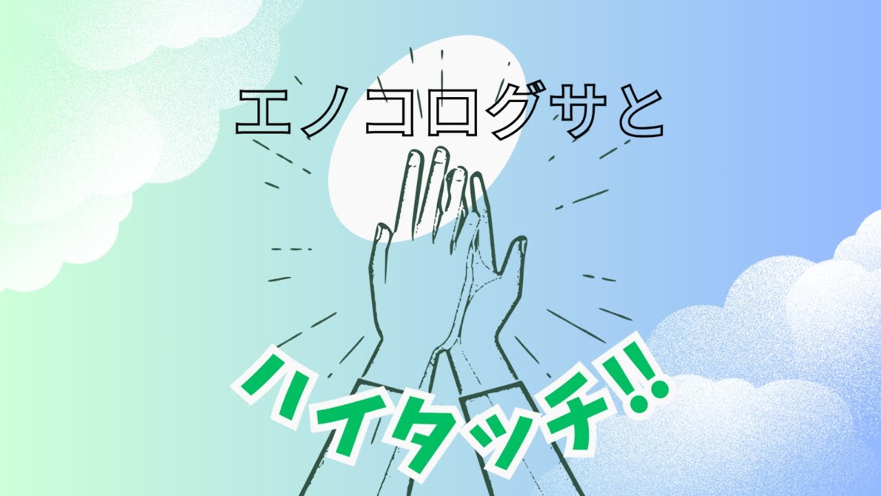 【ハイタッチ】エノコログサとハイタッチ