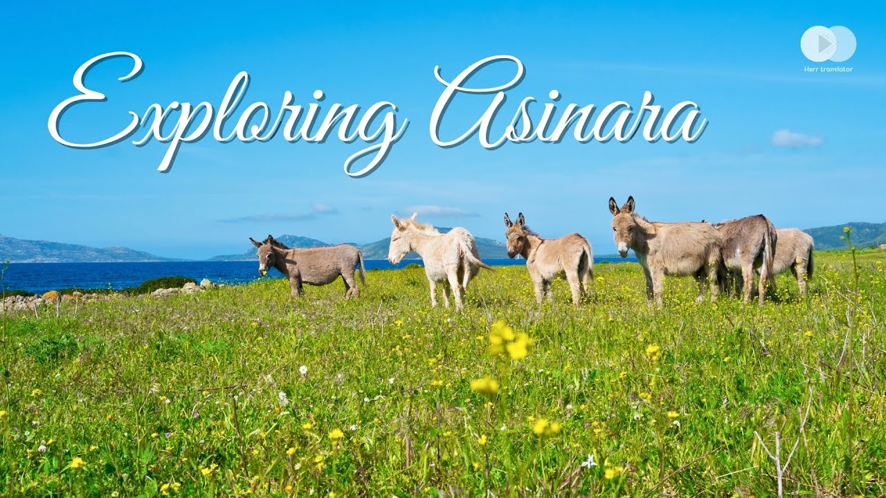 Asinara Island Italy | Untouched Nature Relaxing Panoramic Tour