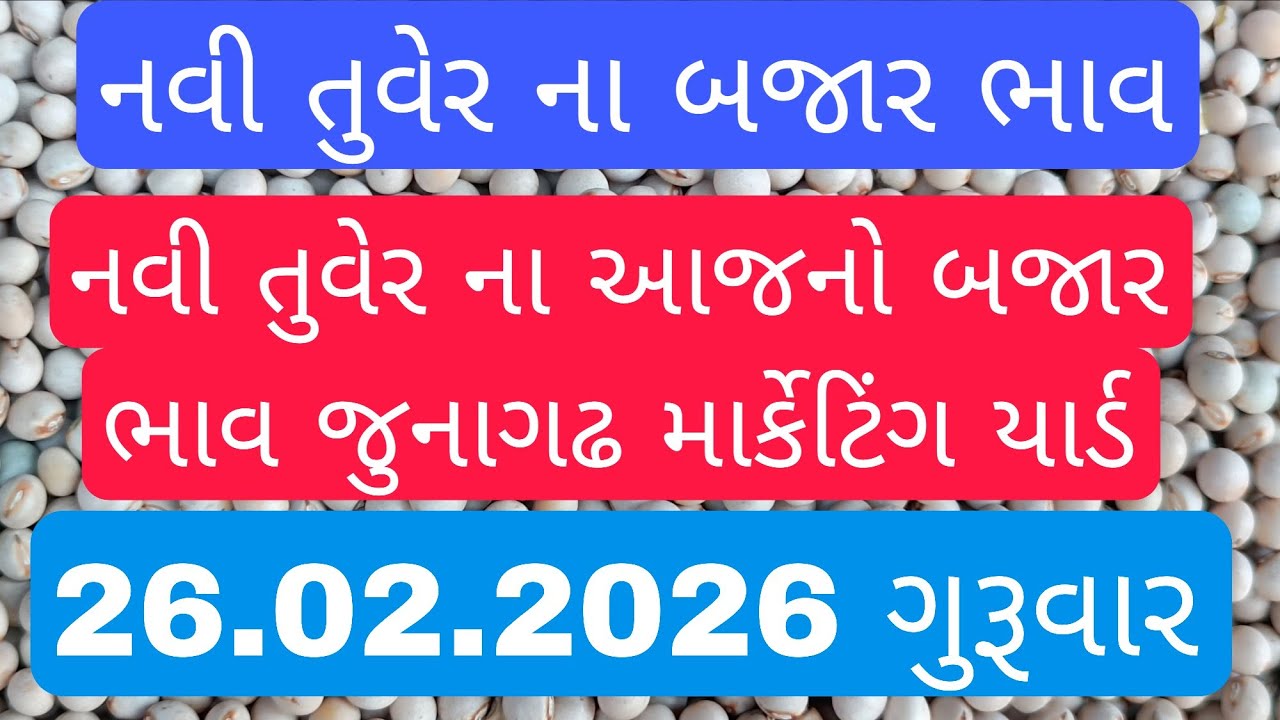 નવી તુવેર ના બજાર ભાવ / તુવર ના ભાવ આજના / નવી તુવેર ની હરાજી લાઈવ જુનાગઢ / junagadh marketing yard