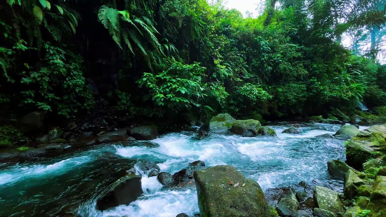 ASMR River Sounds for Brain Relaxation and Fast Sleep