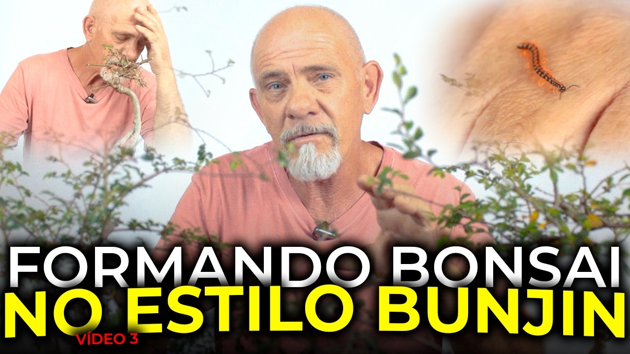COMO FORMAR BONSAI NO ESTILO BUNJIN?  | Ulmos Nº1 - Vídeo 3