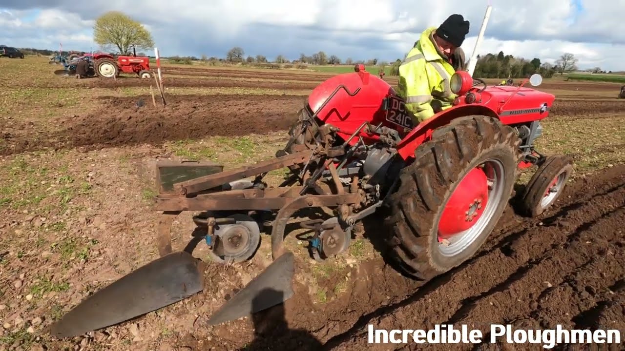 1965 Massey Ferguson 135 2.5 Litre 3-Cyl Diesel Tractor (45HP) Ransomes Plough