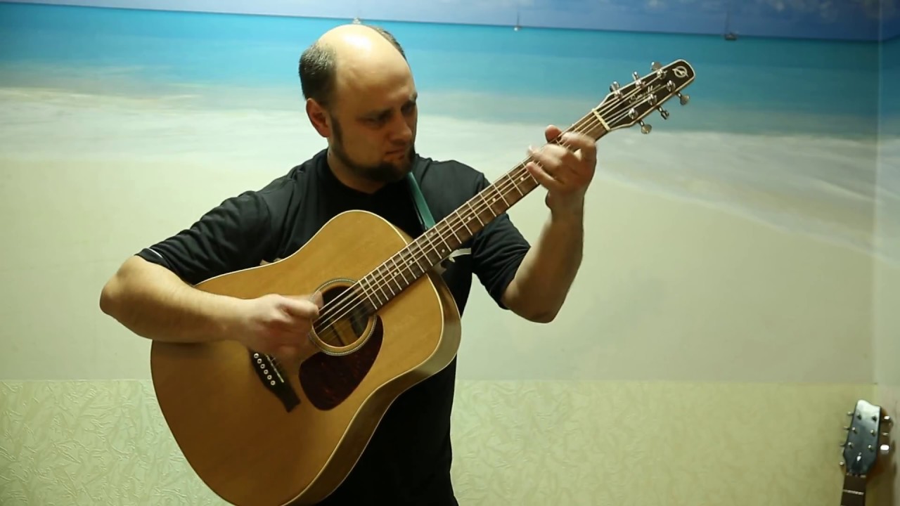 Run A Good Race - Tommy Emmanuel (acoustic guitar cover by Pavel Dolzhikov)