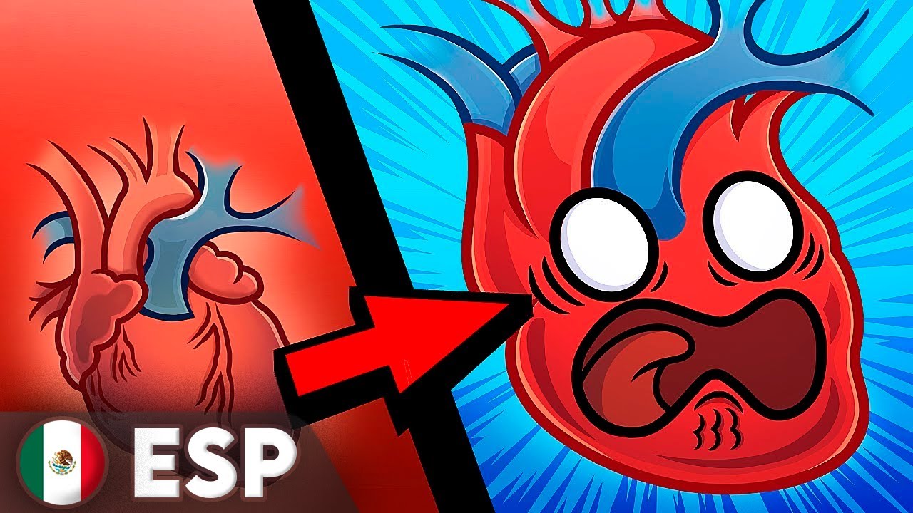 Que pasar&iacute;a si... &iquest;Los &Oacute;rganos tuvieran Sentimientos?