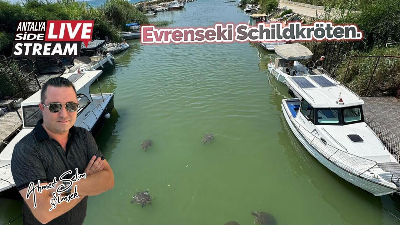 Evrenseki Schildkröten.